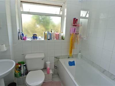 Picture 13